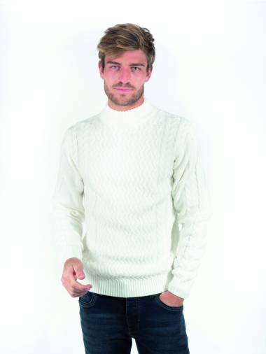Wholesaler FRANCE DENIM - Fancy knit high-neck sweater