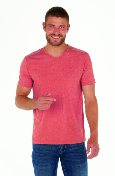 Wholesaler FRANCE DENIM - Plain v-neck t-shirt