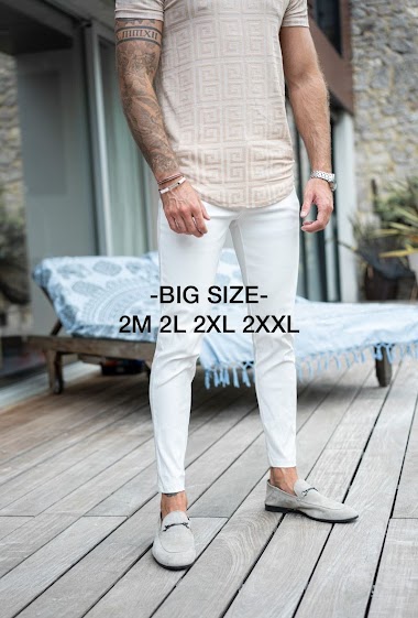 Wholesaler Frilivin - BIG SIZE - Pantalon classique chino