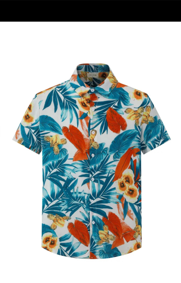 Wholesaler Frilivin - Short-sleeved shirt with floral pattern