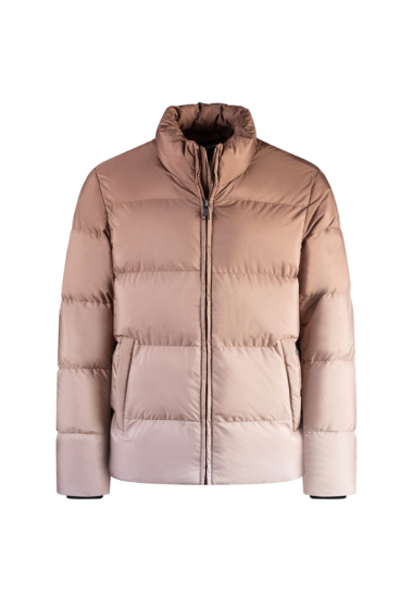 Wholesaler Frilivin - Gradient down jacket without hood