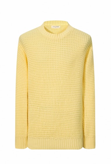 Wholesaler Frilivin - Pull en maille tricot
