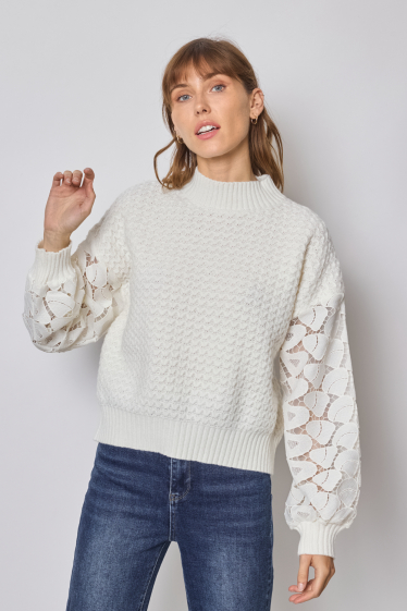 Wholesaler Frime Paris - Sweater with lace sleeves
