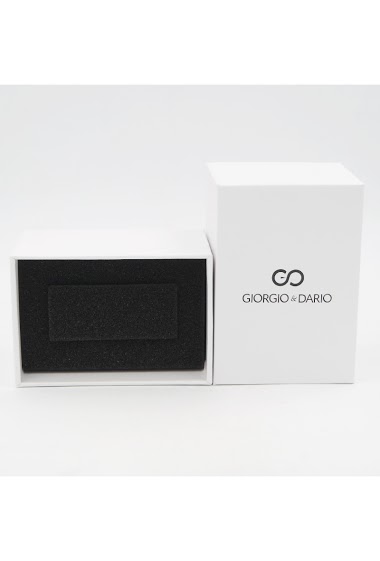 Wholesaler Giorgio & Dario - Box of watch Giorgio&Dario