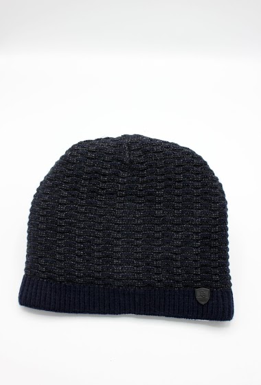 Wholesaler Hologramme Paris - BEANIE with button and clips