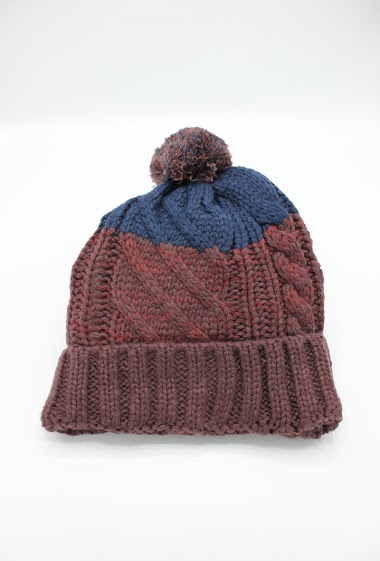 Wholesaler Hologramme Paris - BEANIE with synthetic Pompom