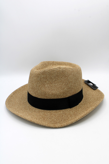 Wholesaler Hologramme Paris - Hat – 12833