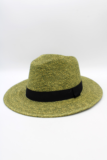 Wholesaler Hologramme Paris - Hat – 14099