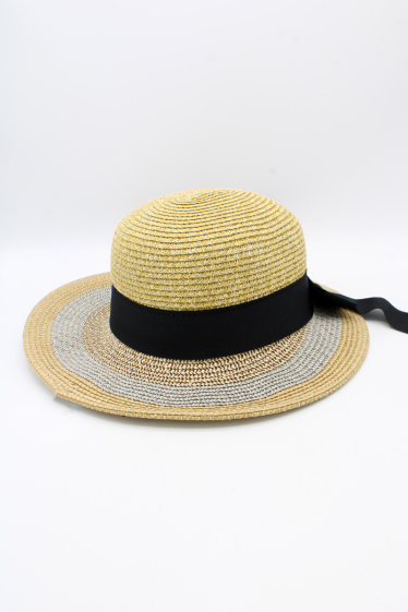Wholesaler Hologramme Paris - Hat – 14111