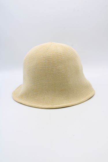 Wholesaler Hologramme Paris - Hat – 3227