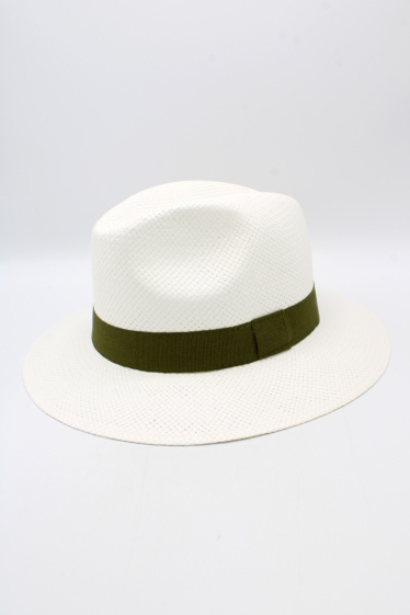 Wholesaler Hologramme Paris - Hat – Art 02-100 White Grosgrain