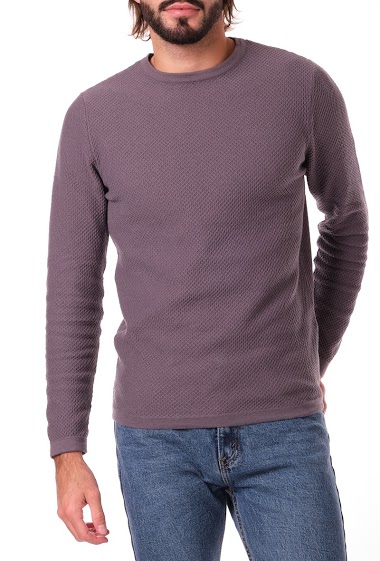 Wholesaler Hopenlife - Men's fine knit plain round neck sweater