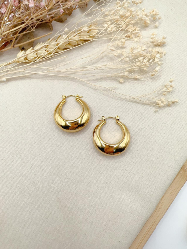 Wholesaler H&T Bijoux - Steel earrings