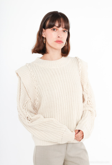 Grossiste Ikoone&Bianka - Pull tricot