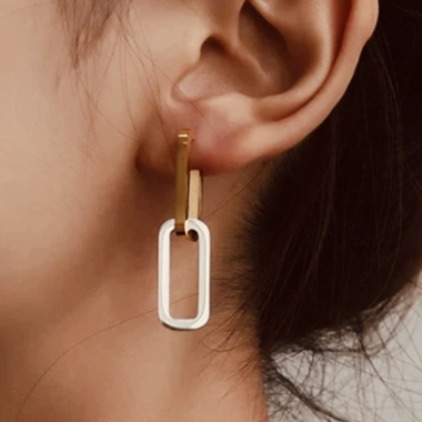Wholesaler Les Précieuses - Pair of Miza two-tone stainless steel earrings