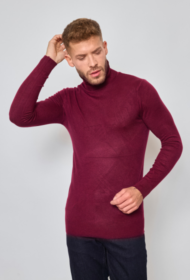 Grossiste SD7 - Pull homme col roulé