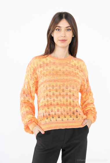 Wholesaler Jolio & Co - Multicolor sweater