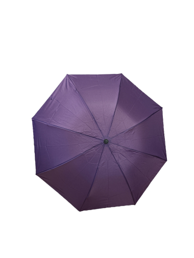 Wholesaler JULIET'S&CO - foldable umbrella