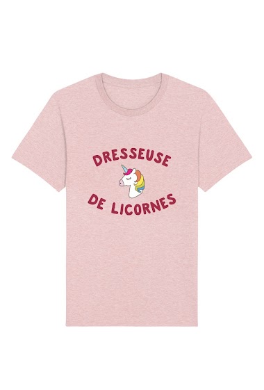 Großhändler Kapsul - T-shirt  enfant fille - Dresseuse de licornes