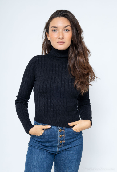 Wholesaler WHOO - short twisted turtleneck sweater