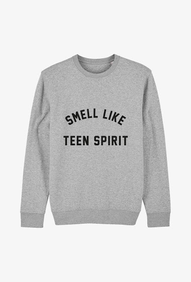 Wholesaler Koloris - Sweat Adulte Gris - Smell like teen spirit