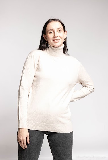 Wholesaler L.Steven - Sweater plain