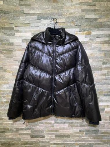 Wholesaler L.Style - Shiny down jacket