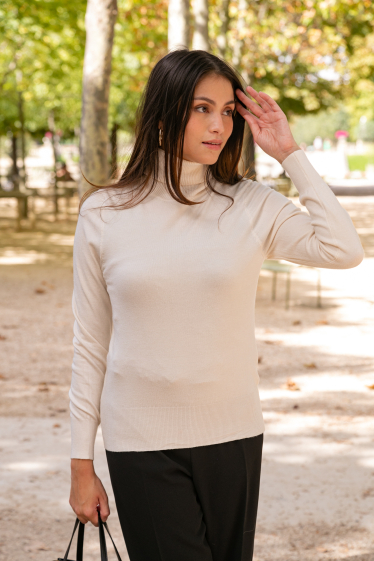 Wholesaler Last Queen - Turtleneck knit sweater with long sleeves, top quality