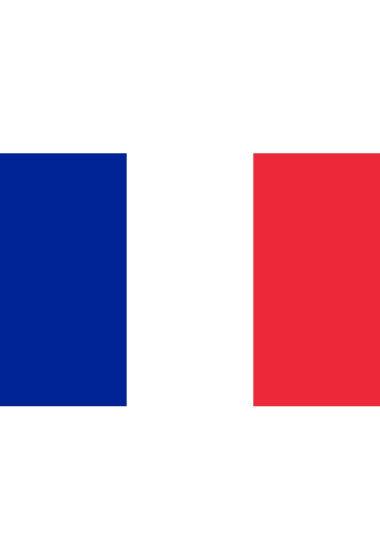 Mayorista LEXA PLUS - Bandera de Francia 150 x 90 cm