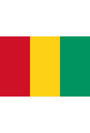 Grossiste LEXA PLUS - Drapeau Guinée Conakry 150x90 cm