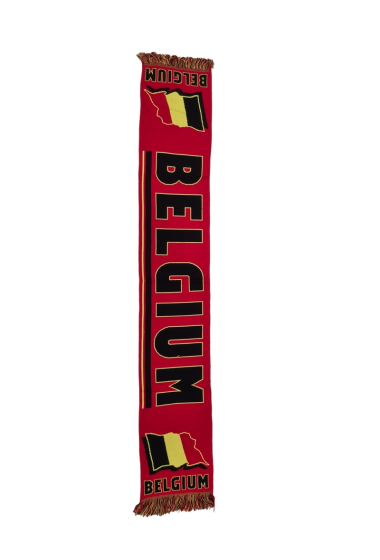 Wholesaler LEXA PLUS - France supporter football scarf