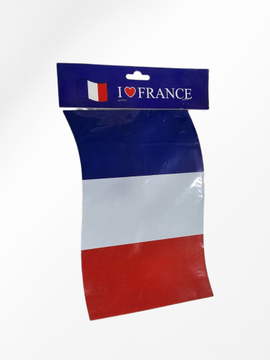 Wholesaler LEXA PLUS - France flag magnet