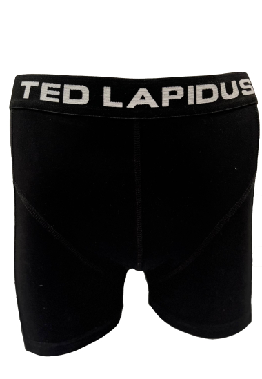 Wholesaler LICENCE BRAND STOCKAGE - BOXERS BX1903 TED LAPIDUS