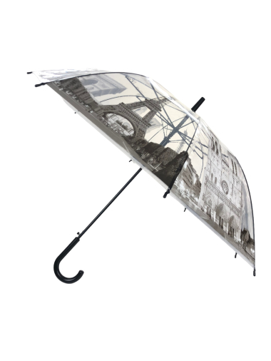 Großhändler Lidy's - Regenschirmdenkmäler Paris