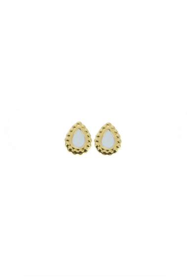 Wholesaler LILY CONTI - Earrings-Stainless Steel