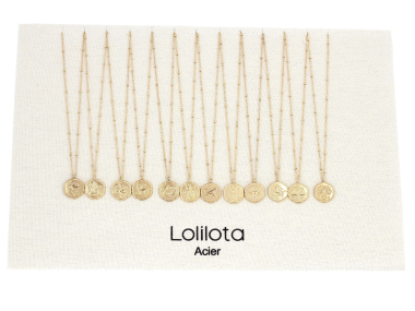 Grossiste Lolilota - lot de 12 colliers zodiaques en acier inoxydable