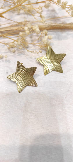 Wholesaler Lolo & Yaya - Norhen star earrings 2.5cm in steel