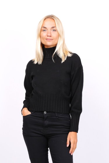 Grossiste Lusa Mode - Pull col montant