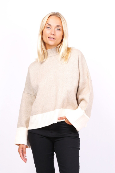 Wholesaler Lusa Mode - Thick two-tone high-neck sweater