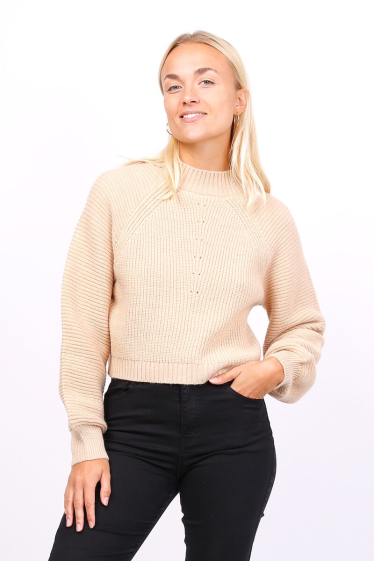 Wholesaler Lusa Mode - Wide-effect sleeve special material jumper