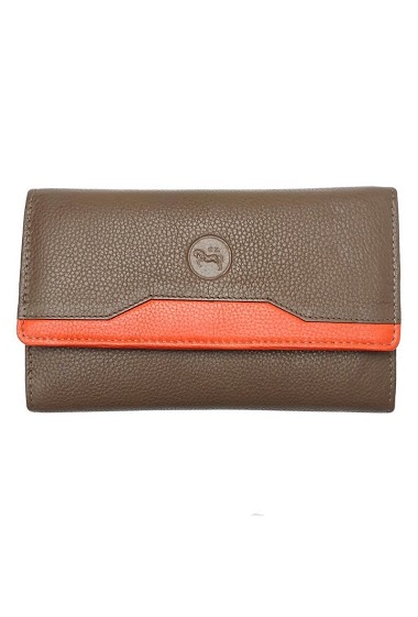 Multi color leather purse