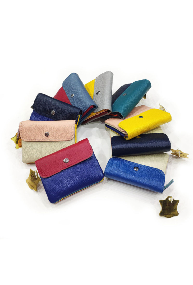 Wholesaler Maromax - Multicolor leather coin purse