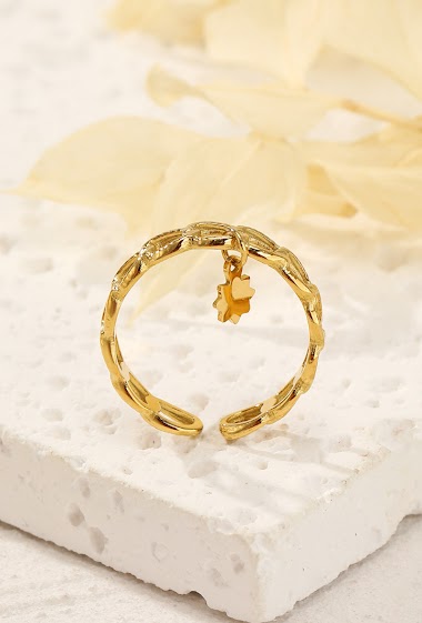 Wholesaler Eclat Paris - Gold stainless steel ring