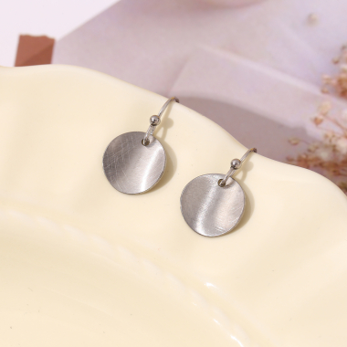 Wholesaler Eclat Paris - Silver brushed silver earrings