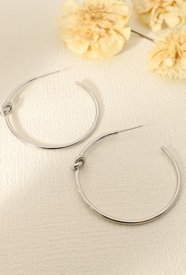 Wholesaler Eclat Paris - Silver circle earrings