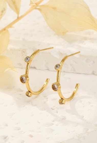 Wholesaler Eclat Paris - Rhinestone hoop earrings