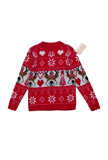 Wholesaler Mini Pomme - Knit sweater for Christmas