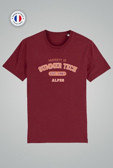 Grossiste Mod'doux - T-shirt Unisexe - College Tee Alpes