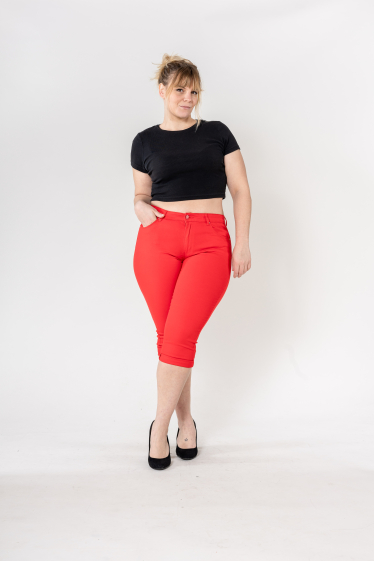 Wholesaler Nina Carter - High-waisted cropped pants
