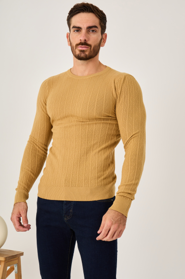 Grossiste Omnimen - Pull maille col rond
